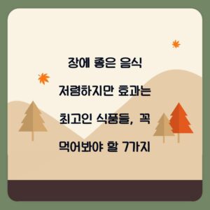 장에 좋은 음식 저렴하지만 효과는 최고인 식품들, 꼭 먹어봐야 할 7가지