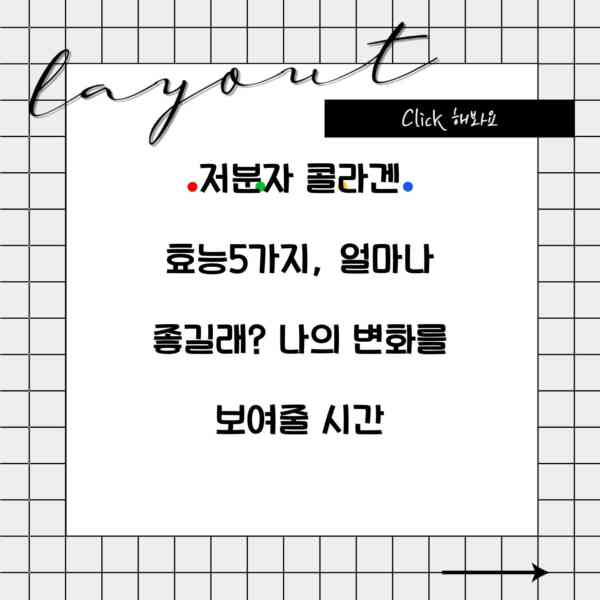 저분자 콜라겐 효능5가지, 얼마나 좋길래? 나의 변화를 보여줄 시간