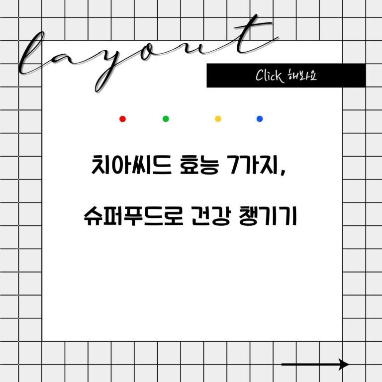 치아씨드 효능 7가지, 슈퍼푸드로 건강 챙기기