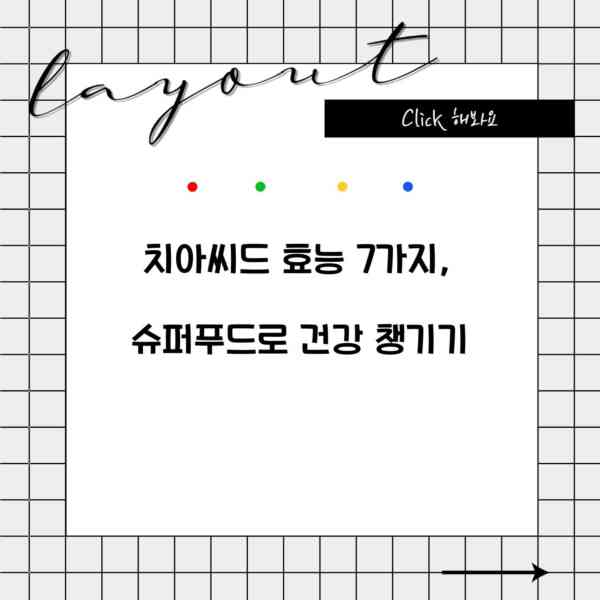 치아씨드 효능 7가지, 슈퍼푸드로 건강 챙기기