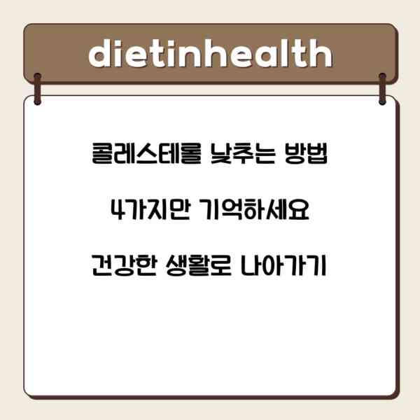 콜레스테롤 낮추는 방법 4가지만 기억하세요 건강한 생활로 나아가기