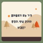 콜레올로지 효능 가격 총정리, 뱃살 관리의 비결은?
