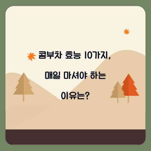 콤부차 효능 10가지, 매일 마셔야 하는 이유는?