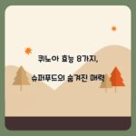 퀴노아 효능 8가지, 슈퍼푸드의 숨겨진 매력