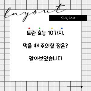 토란 효능 10가지, 먹을 때 주의할 점은? 알아보았습니다