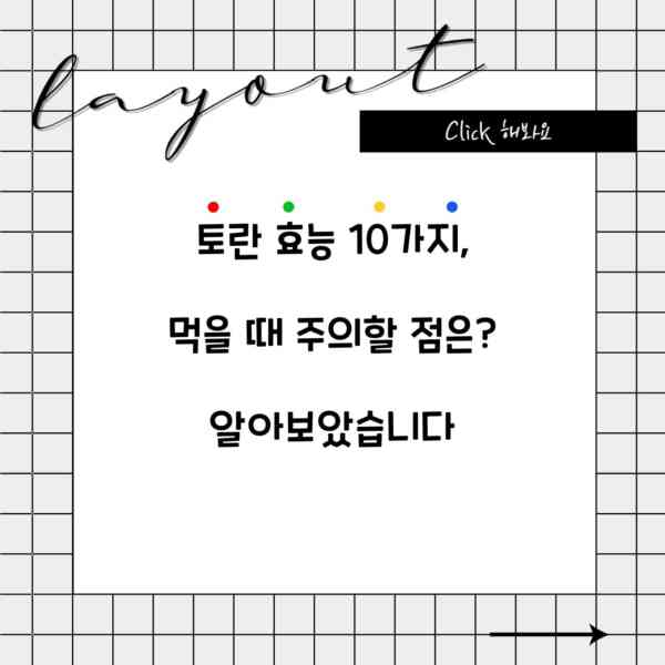 토란 효능 10가지, 먹을 때 주의할 점은? 알아보았습니다