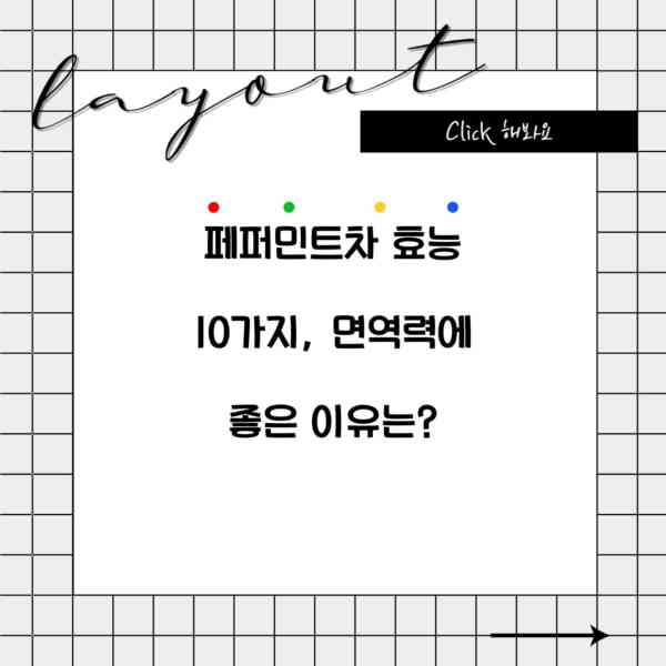 페퍼민트차 효능 10가지, 면역력에 좋은 이유는?