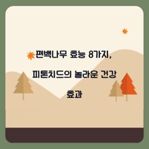 편백나무 효능 8가지, 피톤치드의 놀라운 건강 효과