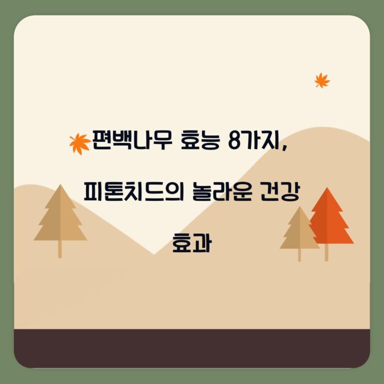 편백나무 효능 8가지, 피톤치드의 놀라운 건강 효과