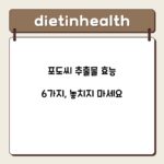 포도씨 추출물 효능 6가지, 놓치지 마세요