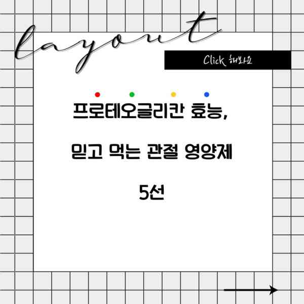 프로테오글리칸 효능, 믿고 먹는 관절 영양제 5선