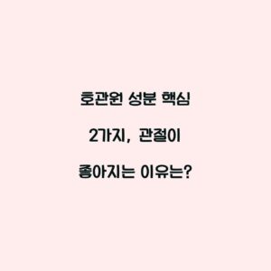 호관원 성분 핵심 2가지, 관절이 좋아지는 이유는?