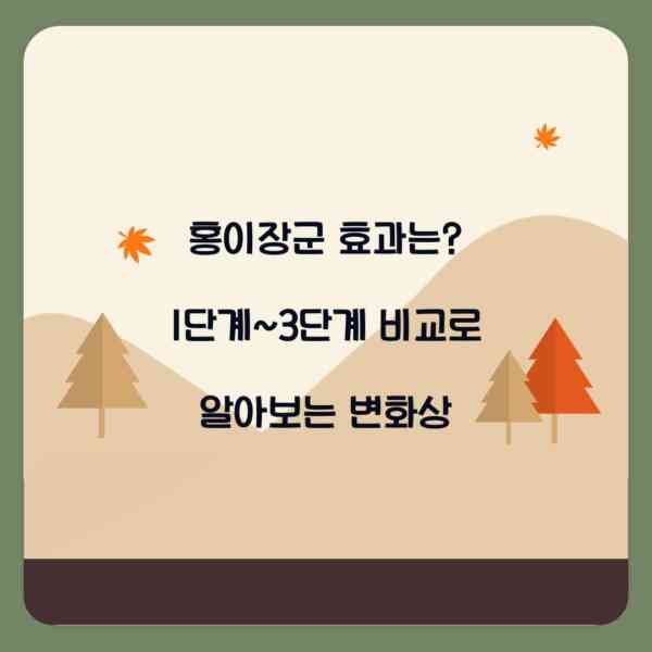 홍이장군 효과는? 1단계~3단계 비교로 알아보는 변화상