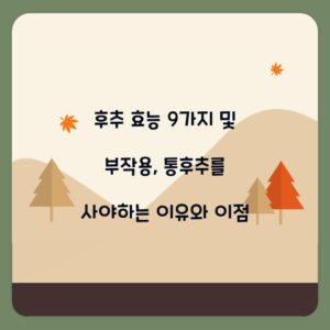 후추 효능 9가지 및 부작용, 통후추를 사야하는 이유와 이점