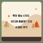 흑차 효능 6가지, 어디에 좋을까? 건강 비결은 여기