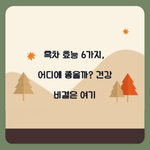 흑차 효능 6가지, 어디에 좋을까? 건강 비결은 여기