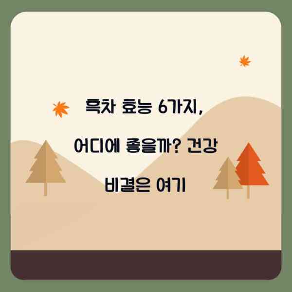 흑차 효능 6가지, 어디에 좋을까? 건강 비결은 여기