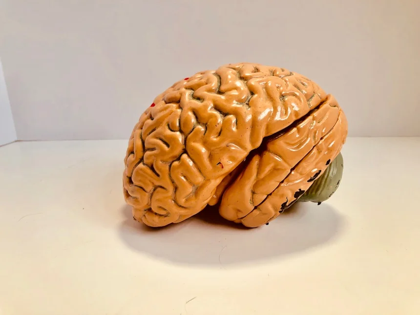 Alzheimer