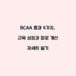 BCAA 효과 4가지, 근육 성장과 피로 개선 자세히 알기