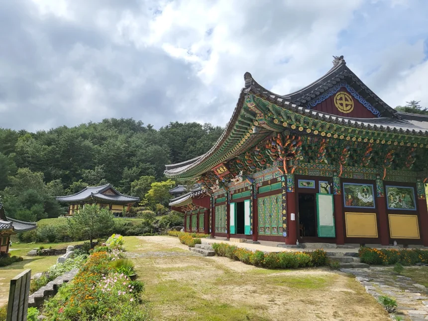 Baekjeong (a traditional Korean medicine)