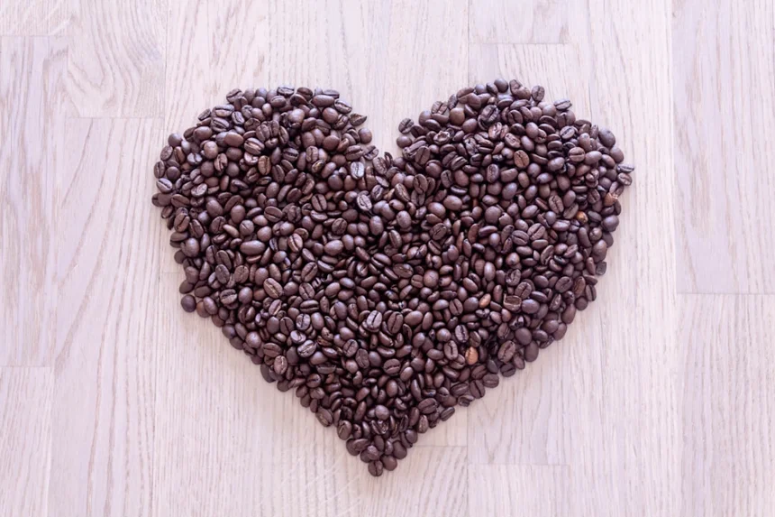 Black bean
