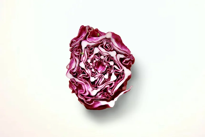 Cabbage