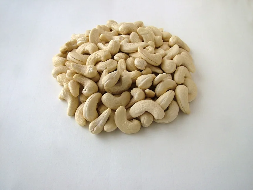 Cashew