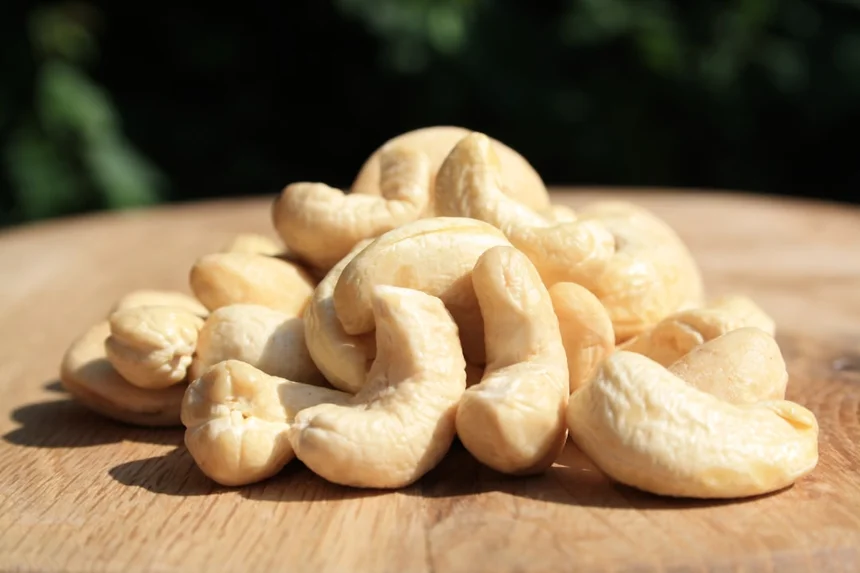 Cashew