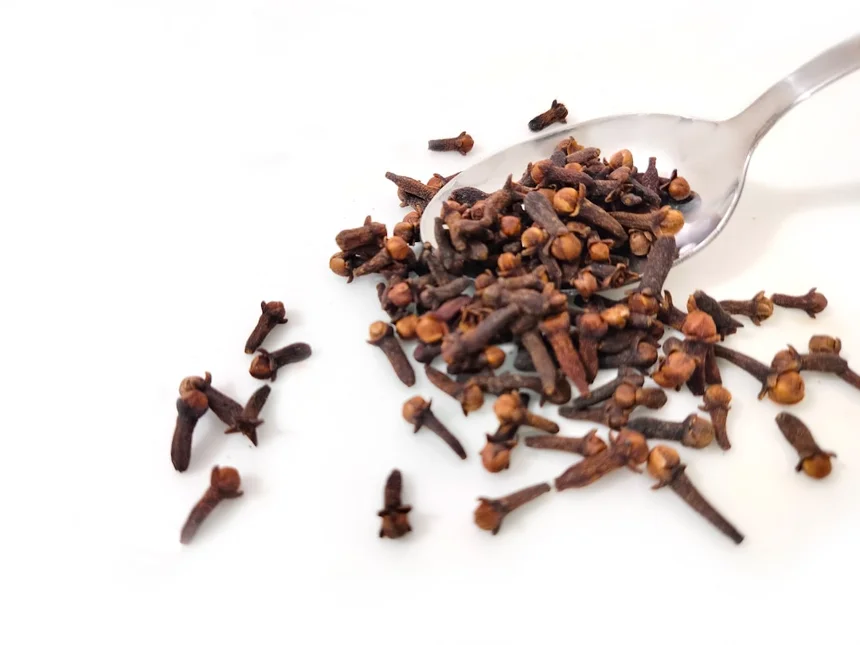 Clove