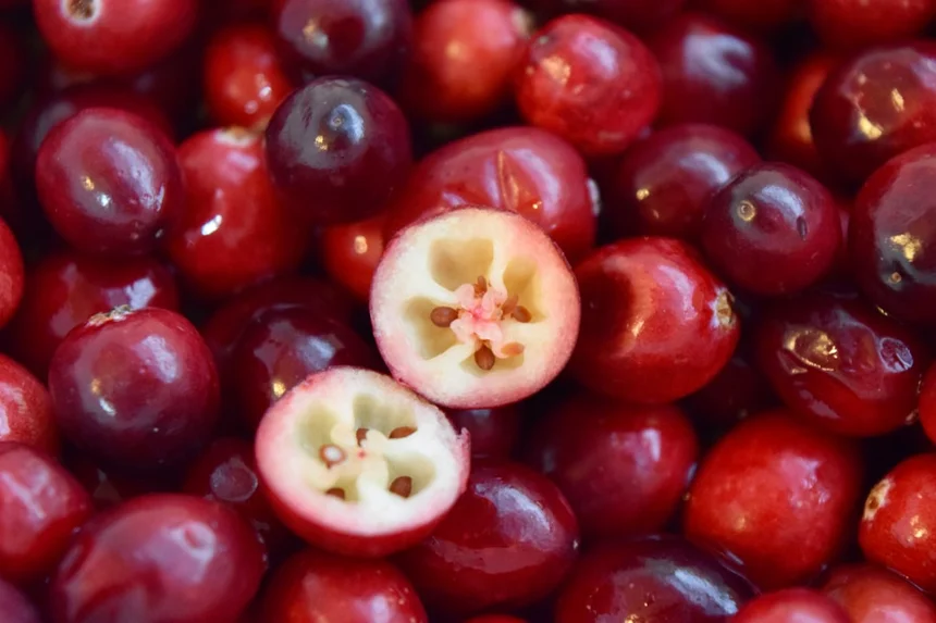 Cranberry