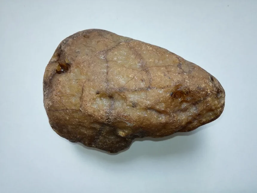 Croquette