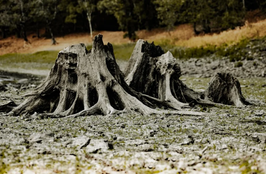 Dryness