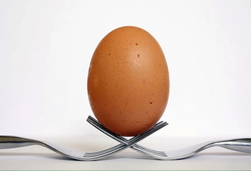 Egg