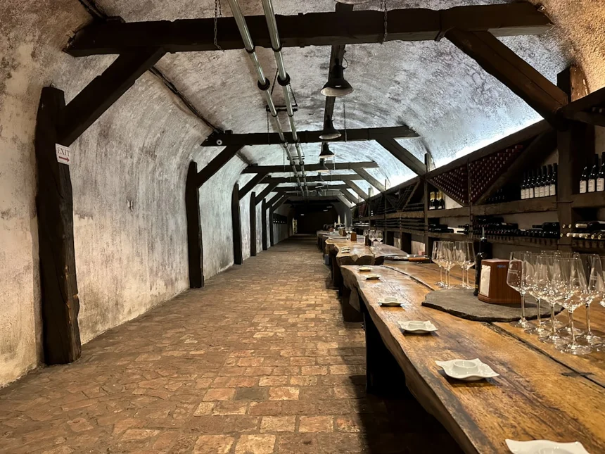 Fermentation
