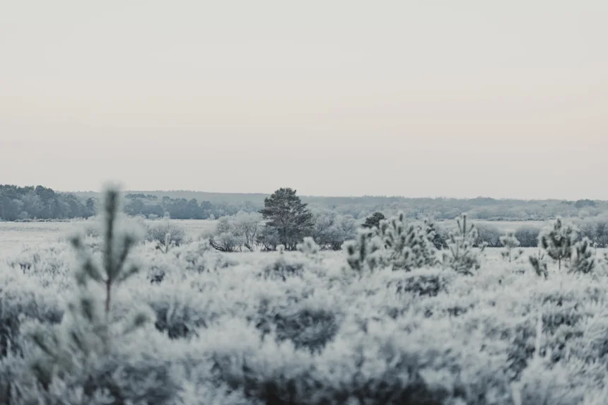 Frostbite