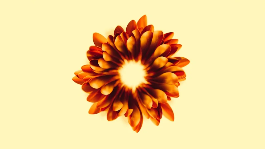 Garcinia