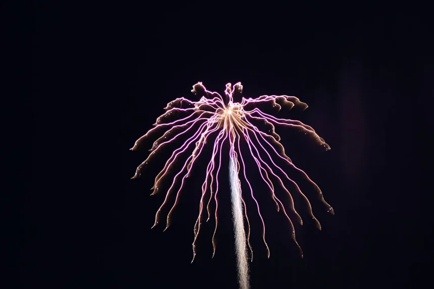 Glycyrrhiza