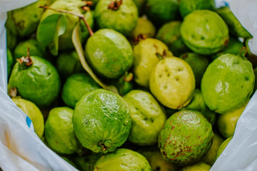 Guava