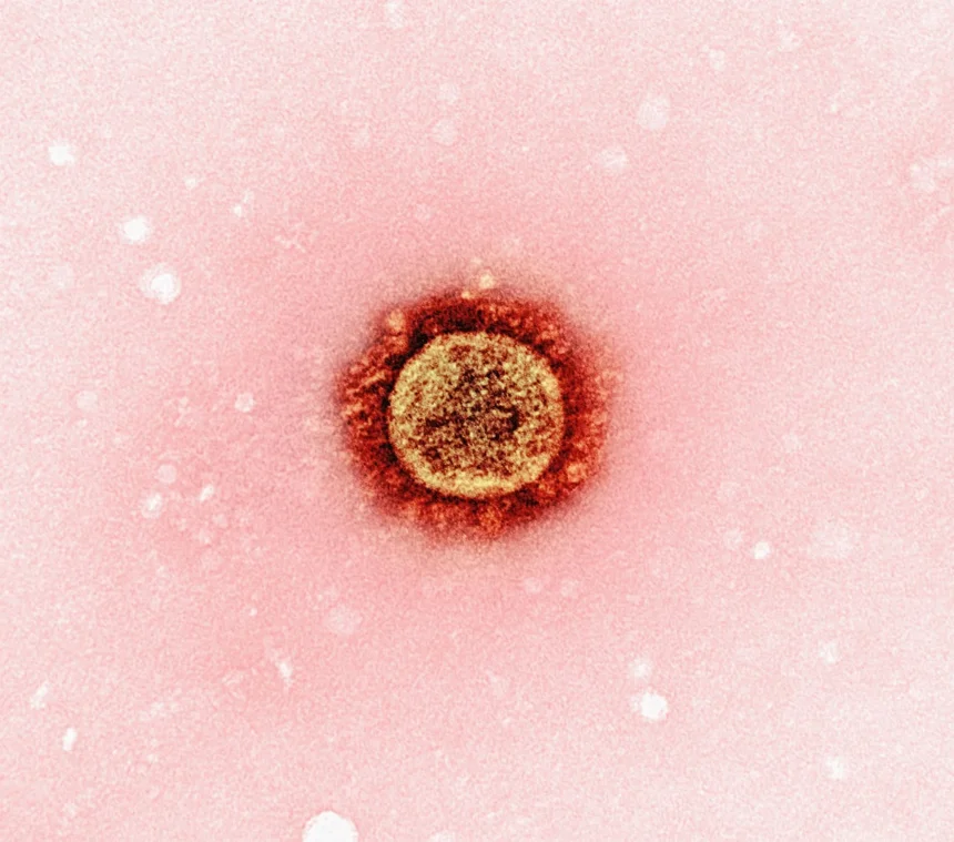 Hepatitis