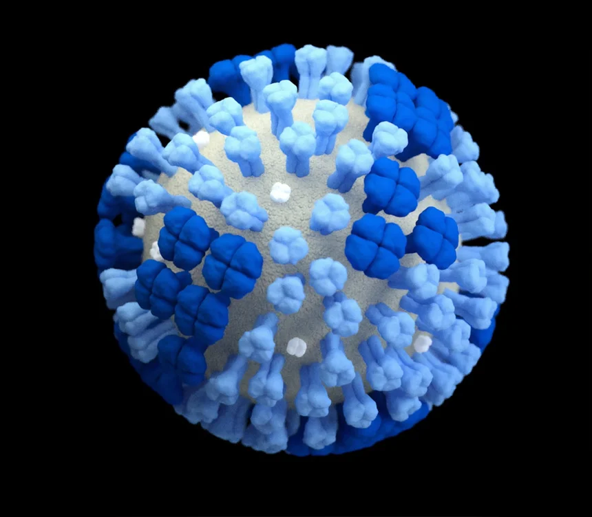 Human papillomavirus (HPV)