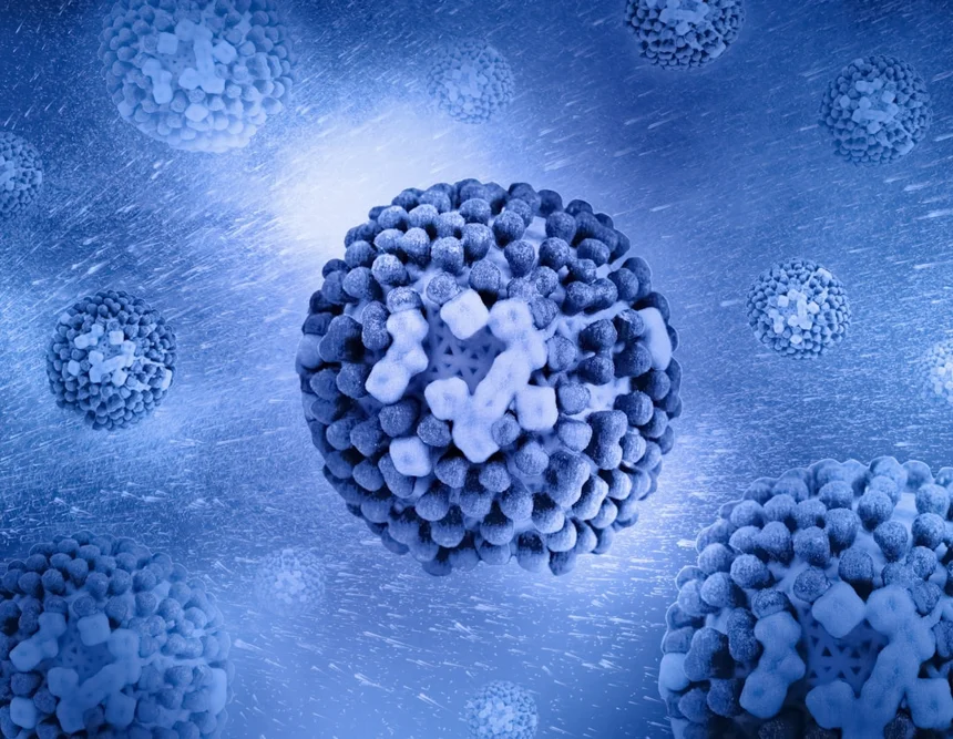 Influenza