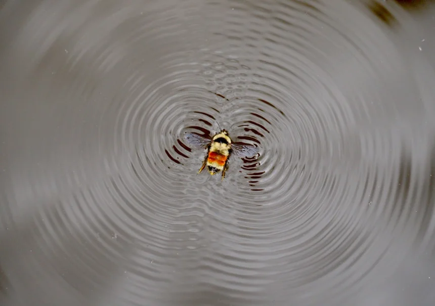 Interference