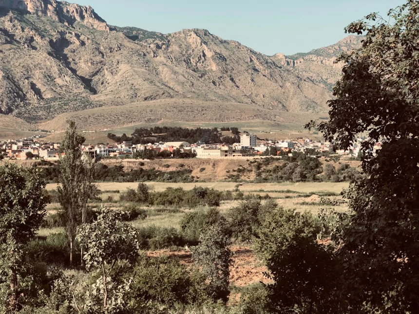 Kamagra