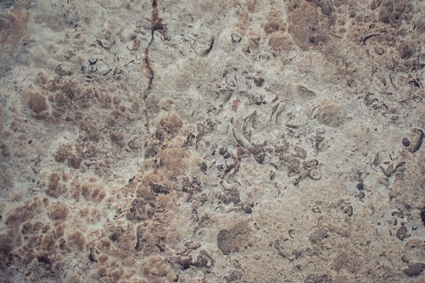 Keratosis