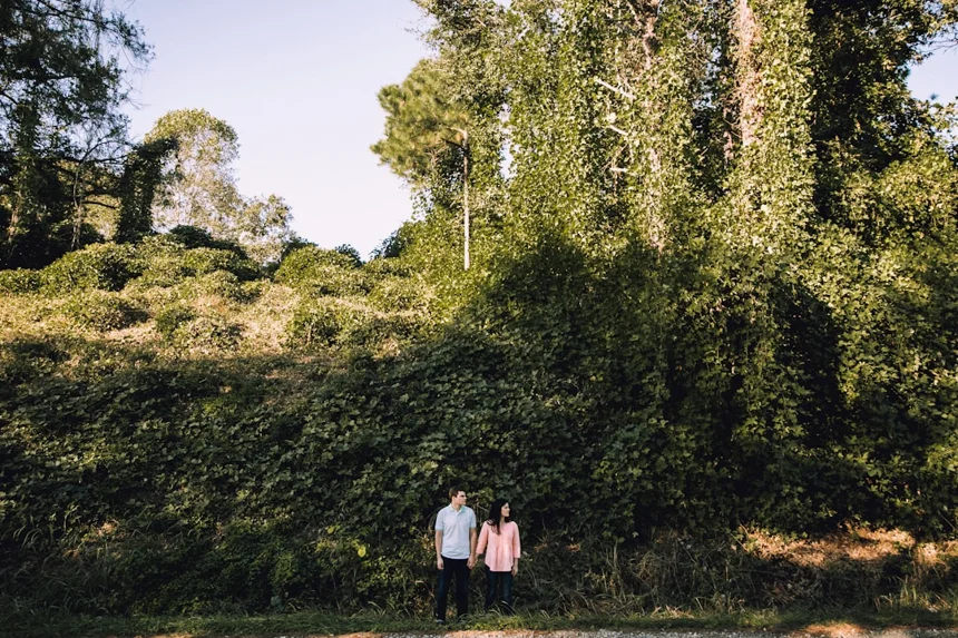 Kudzu