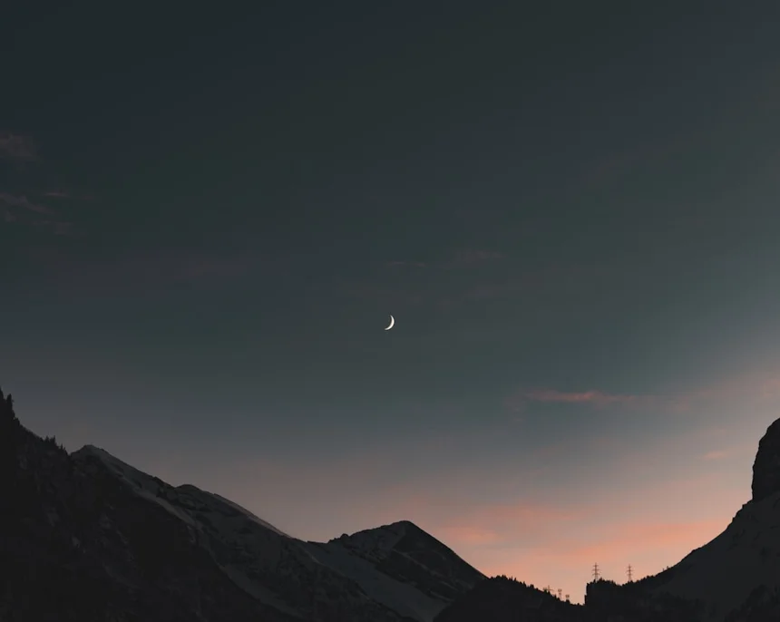 Lunit