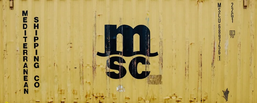 MSM (Methylsulfonylmethane)