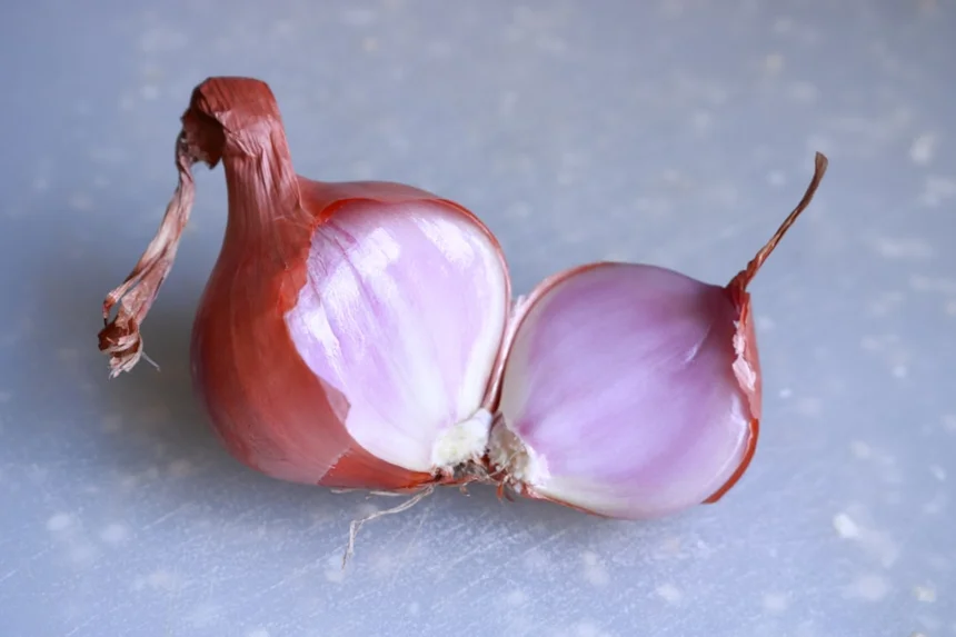 Onion.