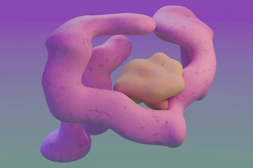 Pancreas