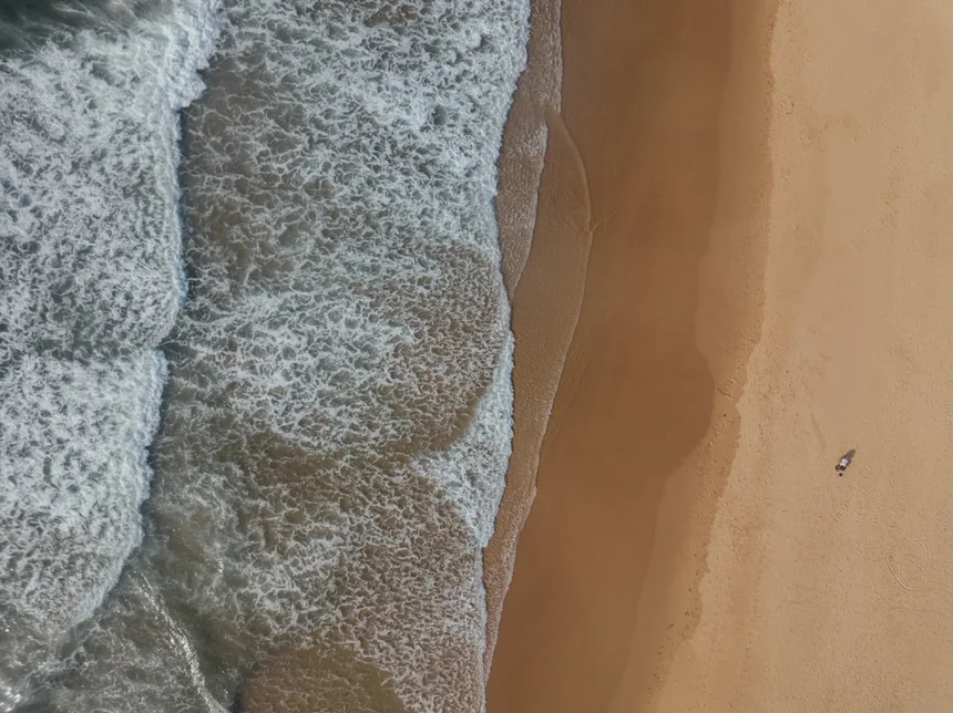 Perilla